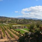Guided Wine Tasting Tour of Temecula - The Sum Up: Is This Tour Right for You?