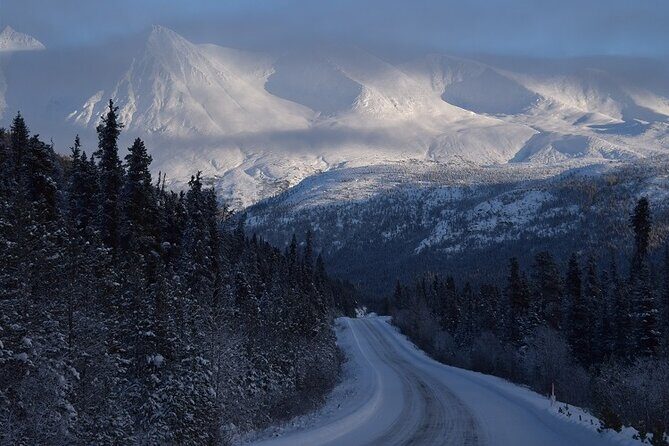 Guided Winter Wonderland Tour to Canada - Who Should Book This Tour?