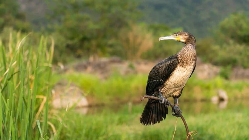 Guilin: 5-Day Off-the-Beaten-Path Tour with Transfers - What They Say: Authentic Perspectives