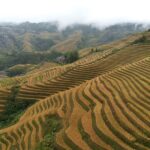 Guilin: Day tour of Longji Rice Terraces and Yangshuo - What Travelers Say: Authentic Insights