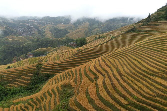 Guilin: Day tour of Longji Rice Terraces and Yangshuo - What Travelers Say: Authentic Insights