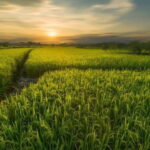 Guilin: Huixian Wetland Boat Ride & Glass Fields Tour - Who should consider this tour?