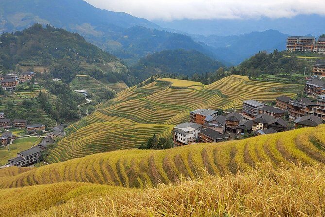 Guilin Tea plantation and Longji Rice Terraces Day Tour from Guilin hotel - Who Will Love This Tour?