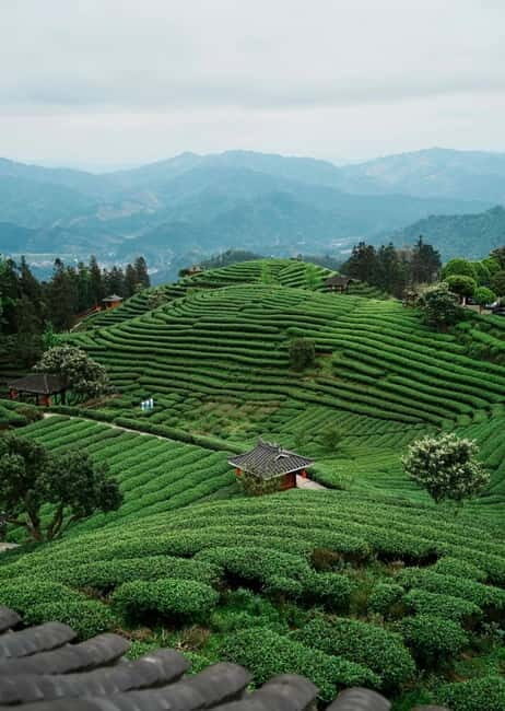 Guilin to Sanjiang: Dong Village, Local Lunch & Tea Mountain - What’s Included & What to Keep in Mind