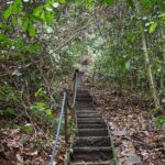 Gunung Gading National Park Tour - Practical Considerations and Tips
