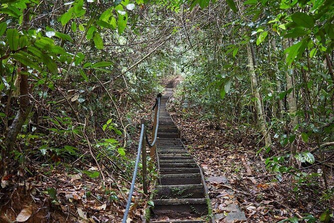 Gunung Gading National Park Tour