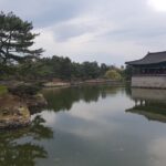 Gyeongju city tour From BUSAN - UNESCO World Heritage Site - Why This Tour Works for You