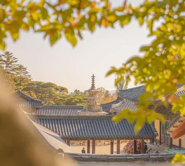 Gyeongju: Private Car Tour with a Licensed Tour Guide - Why This Tour Works for You