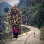 Ha Giang: 4-Day Loop Motorbike Tour with Accommodation - Why This Tour Offers Great Value
