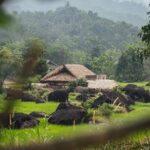 Ha Giang Easy Rider 3D3N - Authenticity & Experience Highlights