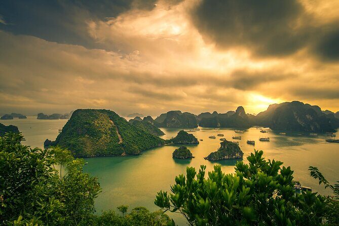 Ha Long Bay Cruise Day Tour-Cave, Kayaking,Ti top island & Lunch - A Deep Dive Into the Halong Bay Experience