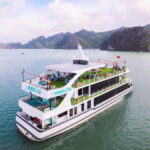 Ha Long Bay Day Tour: Buffet & Jacuzzi by Wonder of the Sea - Who Will Love This Tour?