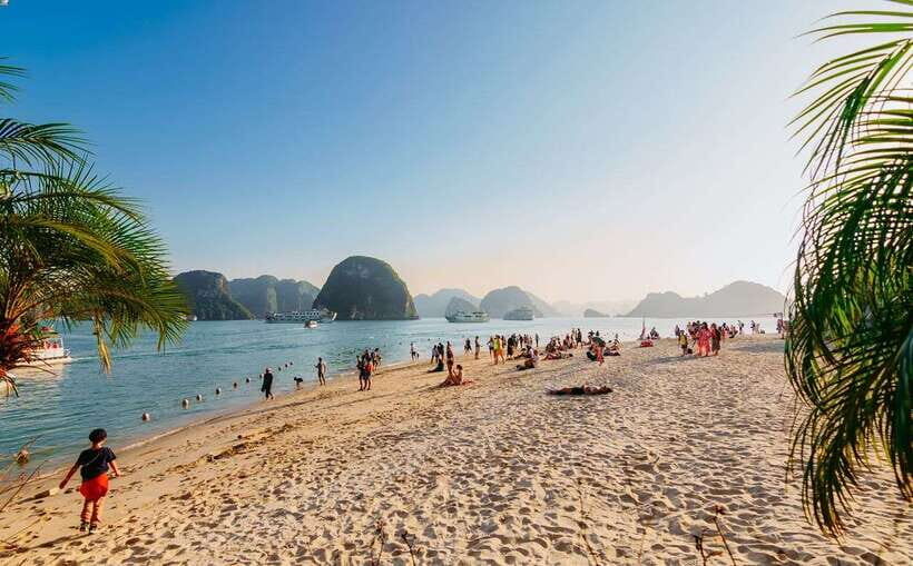 Ha Long Bay Day Trip with Best Price - What the Reviews Say