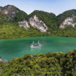 Ha Long Bay Luxury Full Day Cruise| Buffet & All Included - Lunch: Fresh Seafood with Authentic Flavors
