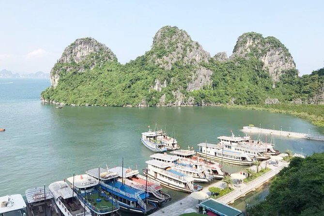 Ha Long Full Day 4-Hour Trip from Hanoi - Why This Tour Delivers More Than Just Sightseeing