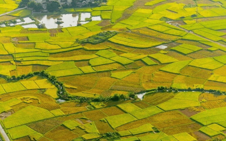 Ha Noi - Mai Chau - Pu Luong 2 Days 1 Night Trekking Tour - Detailed Exploration of the Tour Itinerary