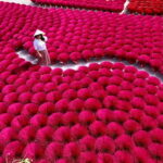 Ha Noi: Perfume pagoda or Incense Village w Guide Pick up - Final Thoughts: Is This Tour Worth It?