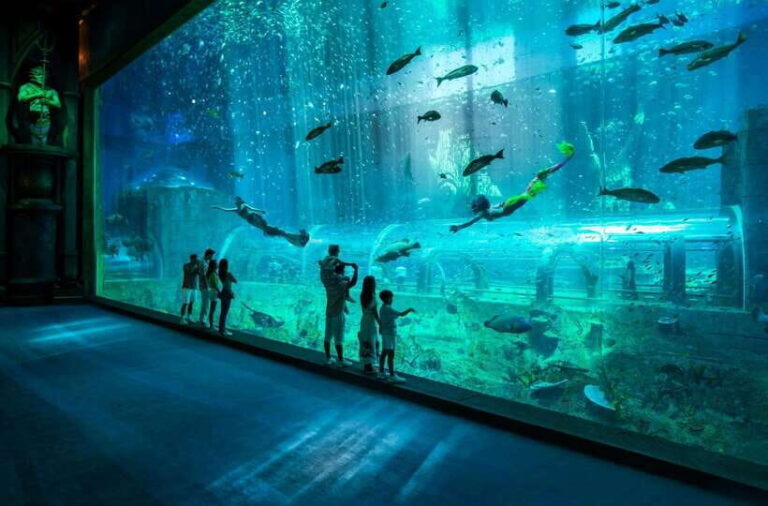 Ha Noi: VinKE and Vinpearl Aquarium Entry Ticket - A Detailed Look at Hanoi’s VinKE and Vinpearl Aquarium Experience