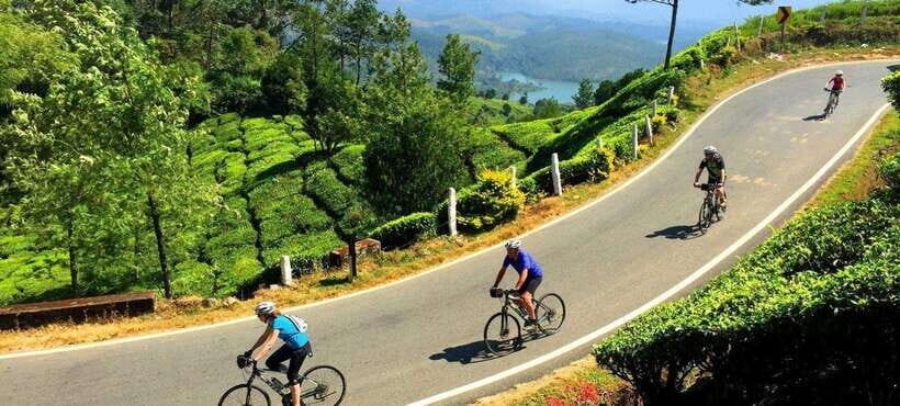 Habarana: Countryside Cycling Tour From Sigiriya, Dambulla - Who Will Love This Tour?