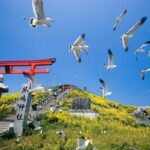 Hachinohe Full-Day Private Trip with Government-Licensed Guide - Who Is This Tour Best For?