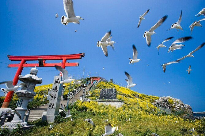 Hachinohe Full-Day Private Trip with Government-Licensed Guide - Who Is This Tour Best For?