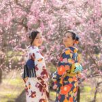 Hagi CityKimono experience in the castle town - Why This Tour Works Well