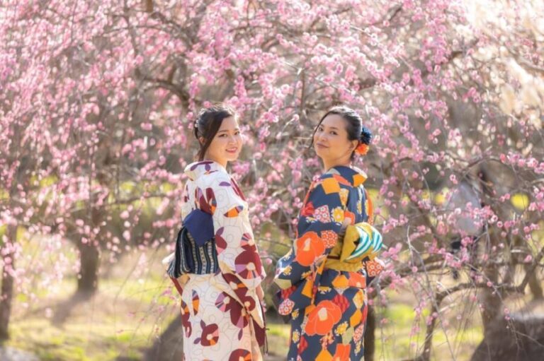 Hagi CityKimono experience in the castle town - Why This Tour Works Well