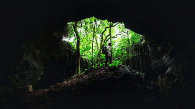 Haikou: China Leiqiong Global Geopark Entry Ticket - How the Tour Works and What You Can Expect