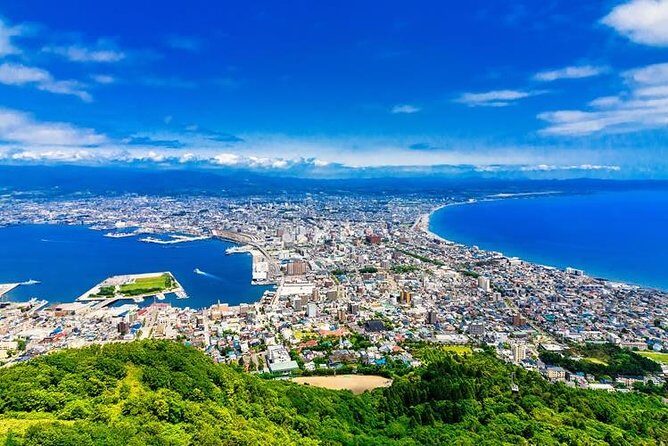 Hakodate 4hr Private Tour with Government-Licensed Guide - Who Should Consider This Tour?