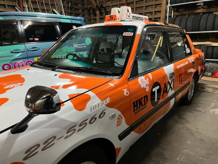 Hakodate Highlights Tour  4 Hours - Who Should Consider This Tour?