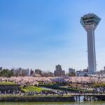 Hakodate Private Customizable Full Day Tour - Practical Tips and Considerations