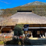 Hakone: enchanting Fujisan - The Complete Experience: What to Expect on this Hakone Tour