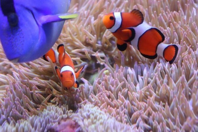 Hakone for Children to Enjoy! Japanese Crafts Experience - FAQ