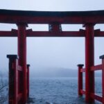 Hakone Full-Day Private Tour - What Makes This Tour Stand Out