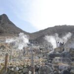 Hakone Full-Day Private Tour(Tokyo DEP.) with Government-Licensed Guide - The Practical Side: Logistics, Price, and Value