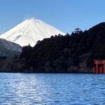 Hakone Geology & History Tour - Who Should Consider This Tour?