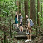 Hakone Hachiri: Old Tokaido Highway Hiking Tour - In-Depth Review of the Hakone Hachiri Hiking Experience