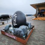 Hakone Private Customize Tour With English speaking driver - The Sum Up: Is This Tour Worth It?