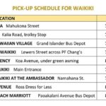 Haleiwa Express & Dole Plantation - Final Thoughts