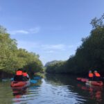 Half day Adventure Kayaking at Mangrove forest - Discovering Krabi’s Natural Marvels on Kayak