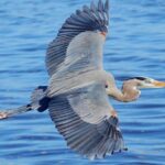 Half Day All The Way - Analyzing the Value