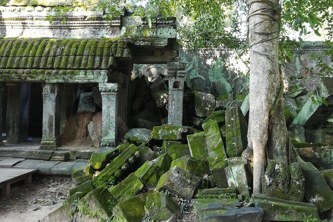Half Day Angkor Wat Sunrise Private Tour - Authentic Experiences and Practical Tips
