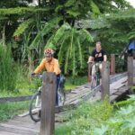 Half-Day Ayutthaya City Cultural Bike Tour - FAQs