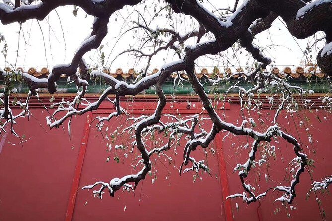 Half Day Beijing Group Tour to Tiananmen Square and Forbidden City - What Travelers Say