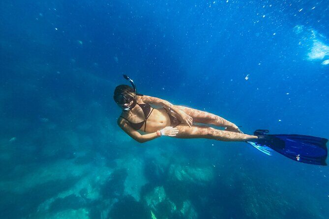 Half Day Cabo Snorkel Adventure with Lunch and Open Bar - Authentic Experiences and Guest Feedback