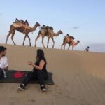 Half Day Camel Safari Sunset with Dinner Tour (Non Touristic) - Key Points
