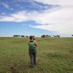 Half Day Chasing Horses Wildlife Photography Experience in North Dakota - Authentic Encounters and Guided Expertise