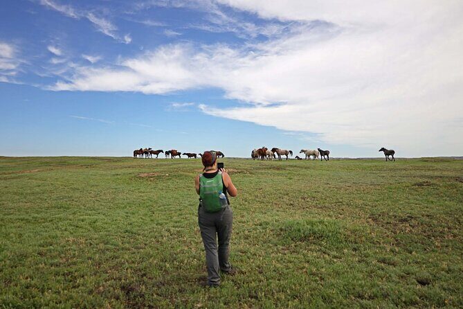 Half Day Chasing Horses Wildlife Photography Experience in North Dakota - Authentic Encounters and Guided Expertise