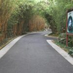 Half-Day Chengdu Panda Research Base Private Tour - Who This Tour Is Perfect For