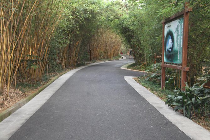 Half-Day Chengdu Panda Research Base Private Tour - Who This Tour Is Perfect For